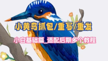 小黄鸟抓包/重写/重发_小白基础篇，适配后期多个教程-招财阁-互联网项目分享基地-创业兼职副业项目 - 网络项目库 - 互联网项目分享基地