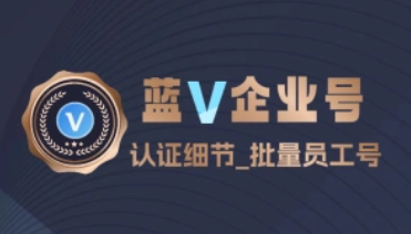 蓝V企业号_认证细节+批量做员工子账号流程梳理-招财阁-互联网项目分享基地-创业兼职副业项目 - 网络项目库 - 互联网项目分享基地