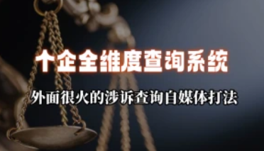 个企信息全维度查询系统_外面很火的涉诉查询自媒体打法（25.9.3补充）-招财阁-互联网项目分享基地-创业兼职副业项目 - 网络项目库 - 互联网项目分享基地