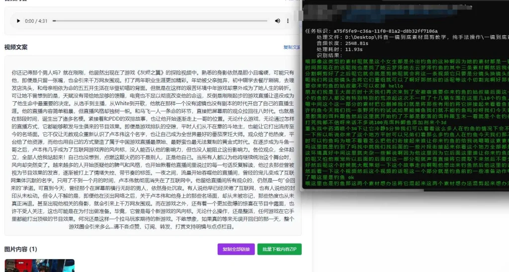 图片[1]-AI音视频转文字_视频转口播文案，翻录好助手（25.11.19补充）-招财阁-互联网项目分享基地-创业兼职副业项目 - 网络项目库 - 互联网项目分享基地