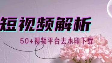 视频解析机器人_解锁VIP版（支持50+视频平台去水印）-招财阁-互联网项目分享基地-创业兼职副业项目 - 网络项目库 - 互联网项目分享基地