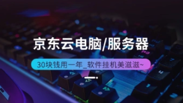 京东云_云电脑30块钱用一年_软件挂机美滋滋~-招财阁-互联网项目分享基地-创业兼职副业项目 - 网络项目库 - 互联网项目分享基地