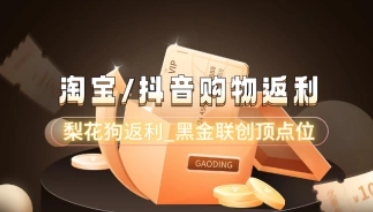 淘宝/抖音购物返利_分享返利点位最高的平台（24.8.7 客服洽谈完毕）-招财阁-互联网项目分享基地-创业兼职副业项目 - 网络项目库 - 互联网项目分享基地