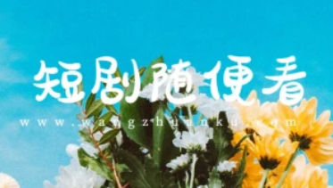 短剧在线看_爆火短剧APP_上头短剧看个够！（24.11.15更新）-招财阁-互联网项目分享基地-创业兼职副业项目 - 网络项目库 - 互联网项目分享基地