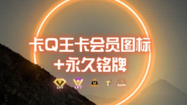 0成本卡QQ大王超会图标+永久铭牌_外面接单的教程-招财阁-互联网项目分享基地-创业兼职副业项目 - 网络项目库 - 互联网项目分享基地