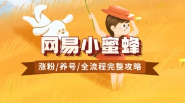 网易小蜜蜂_自动涨粉养号全流程完整攻略（24.12.24更新）-招财阁-互联网项目分享基地-创业兼职副业项目 - 网络项目库 - 互联网项目分享基地